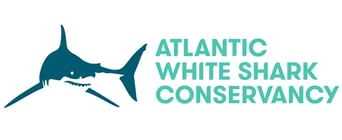 AWSC-Primary-Logos-color copy AWSC-Primary-Logos-color copy