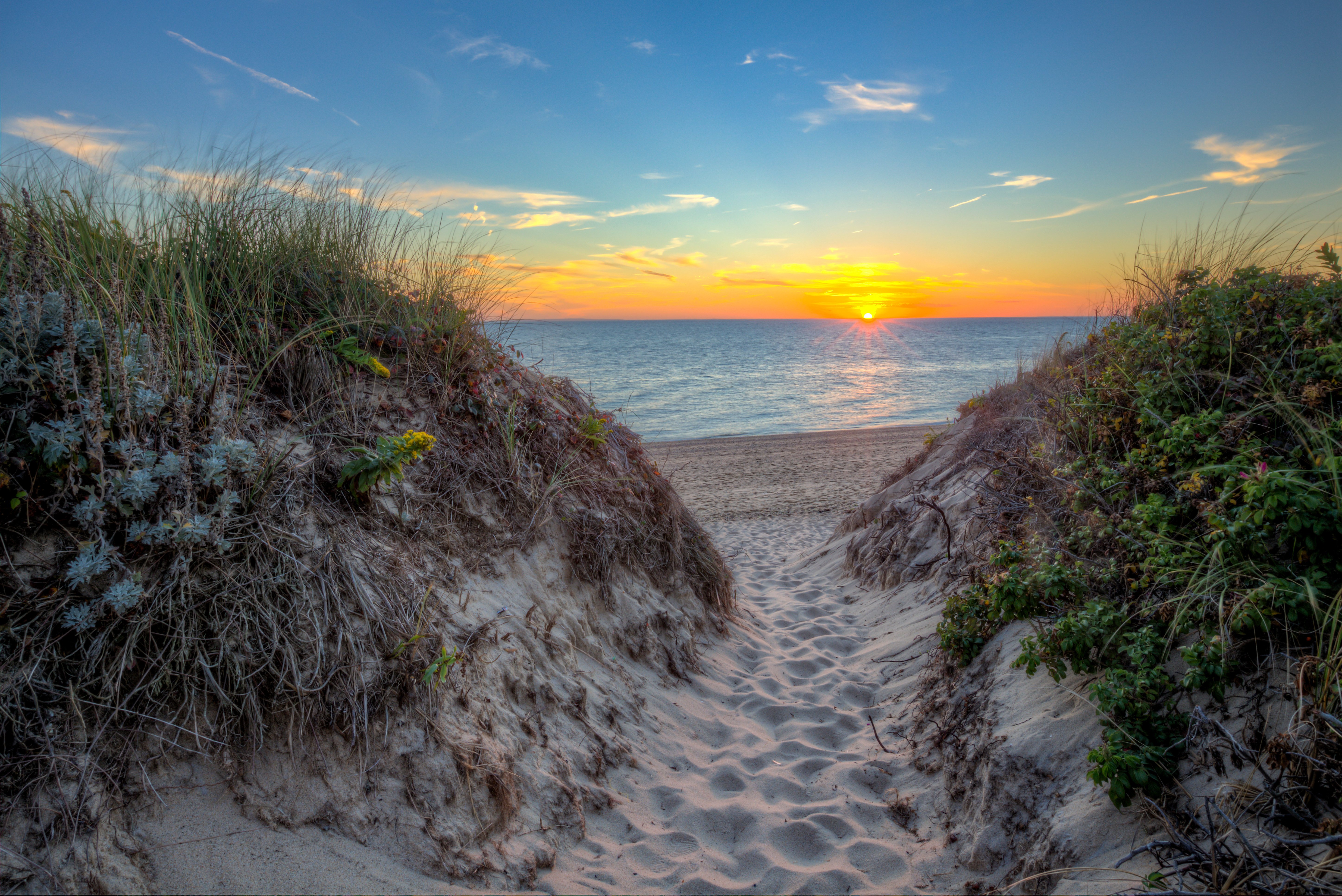 AdobeStock_117950824