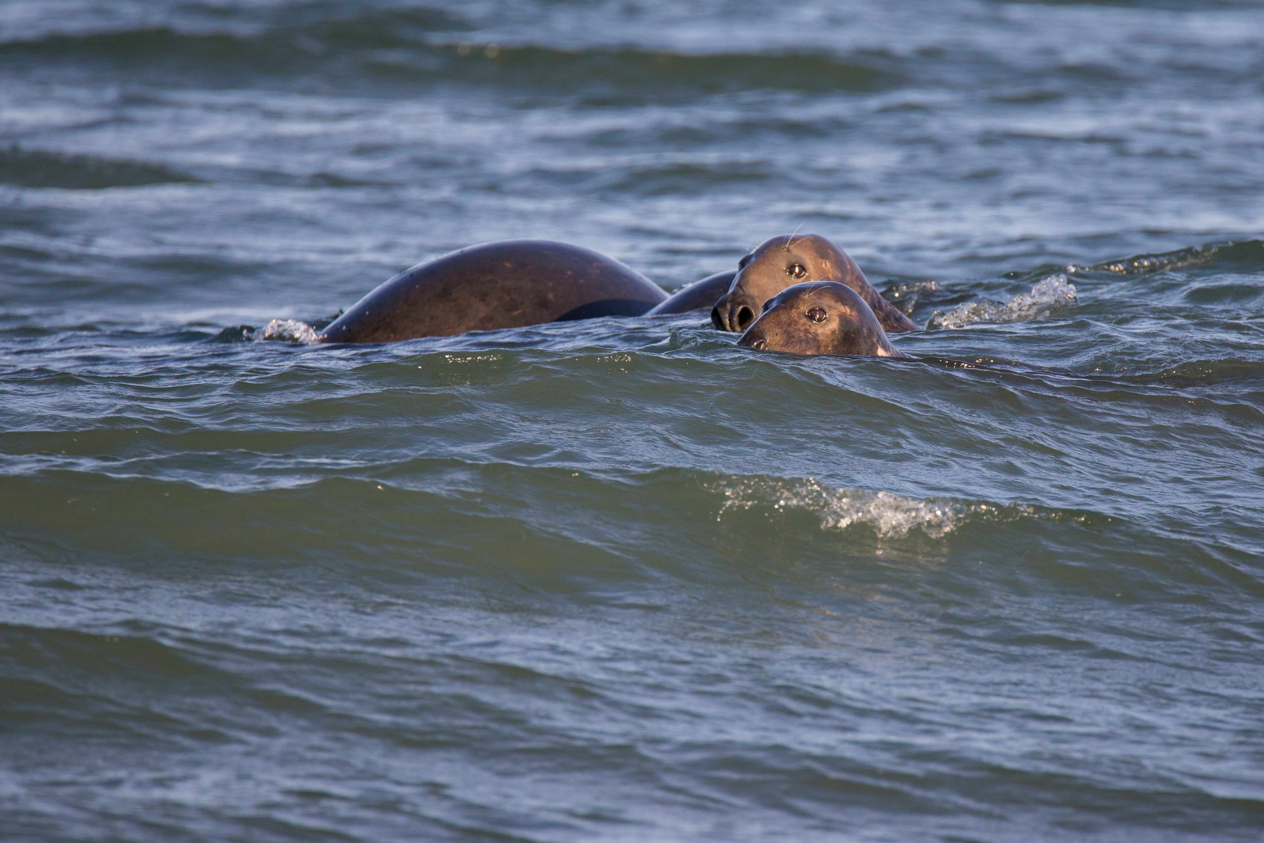 AdobeStock_157427181