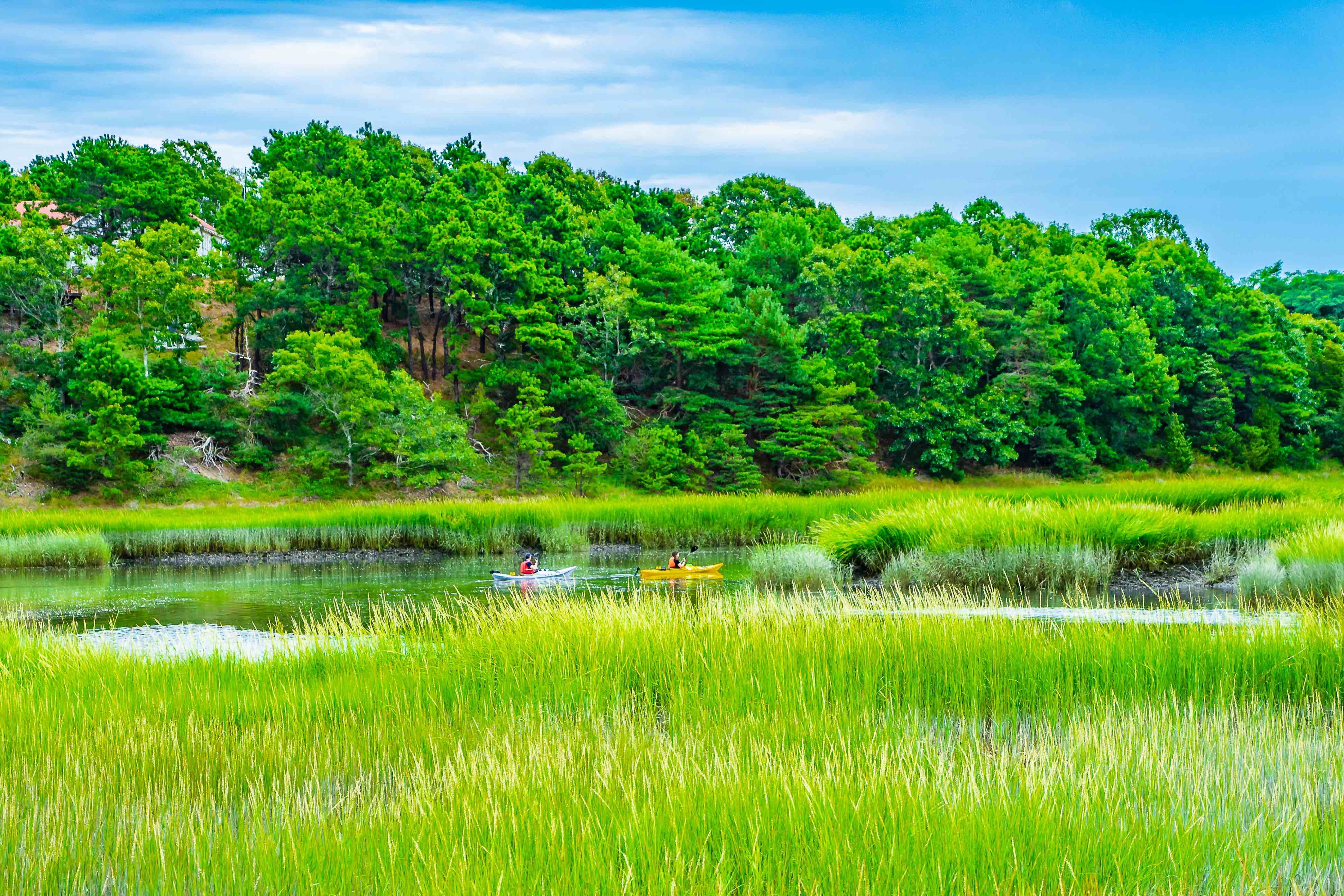 AdobeStock_271694210 (1)