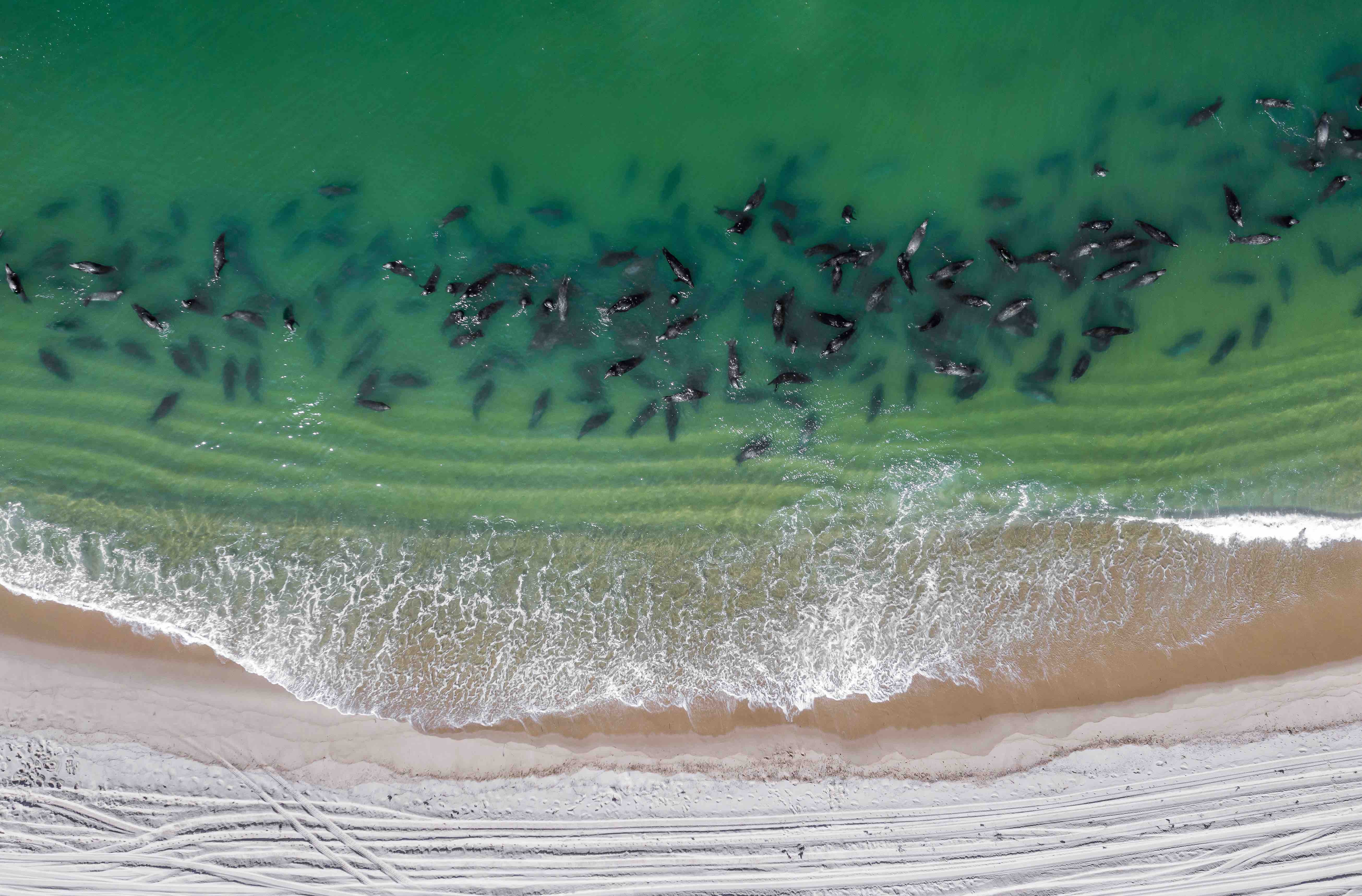 AdobeStock_320944651