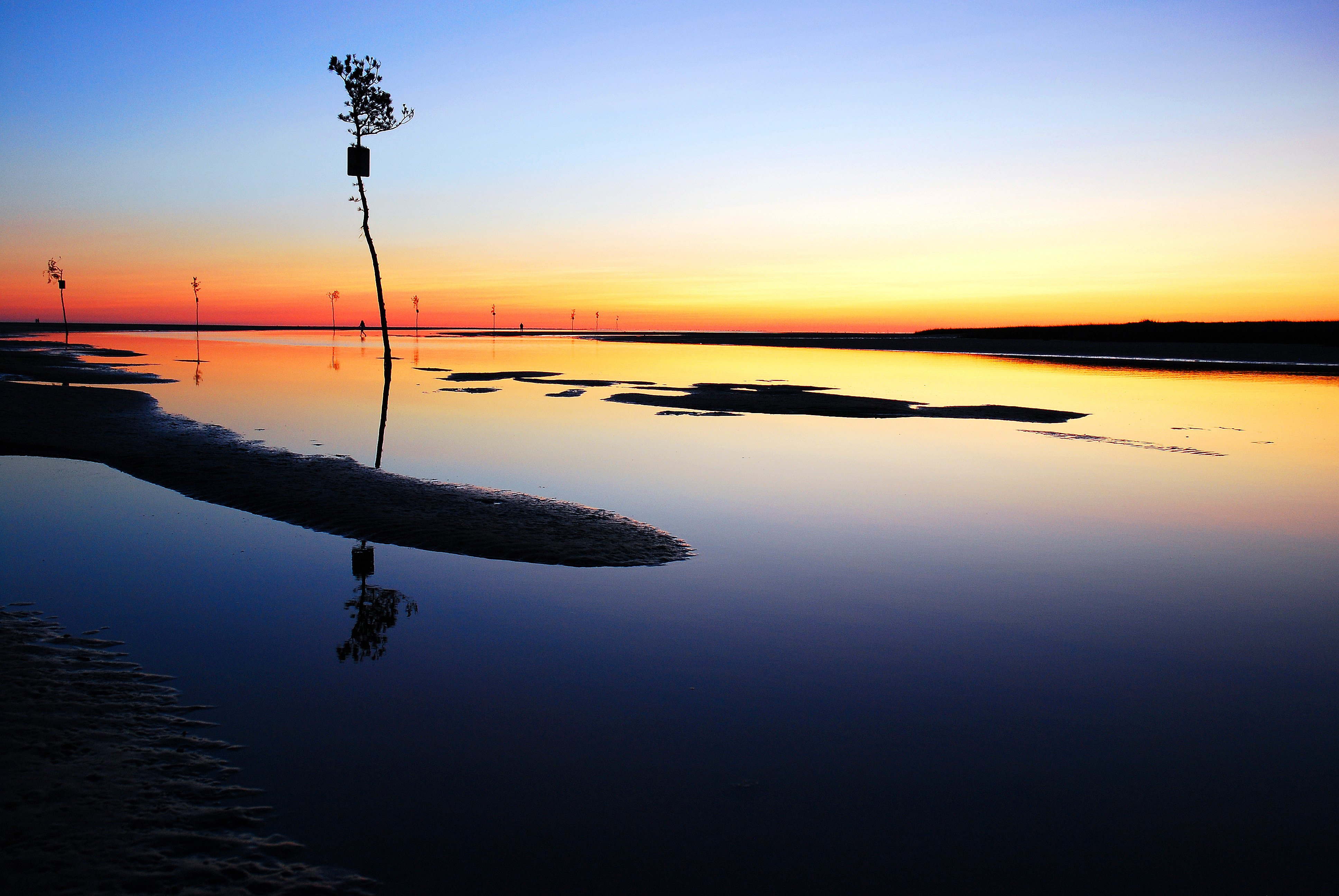 AdobeStock_337037809