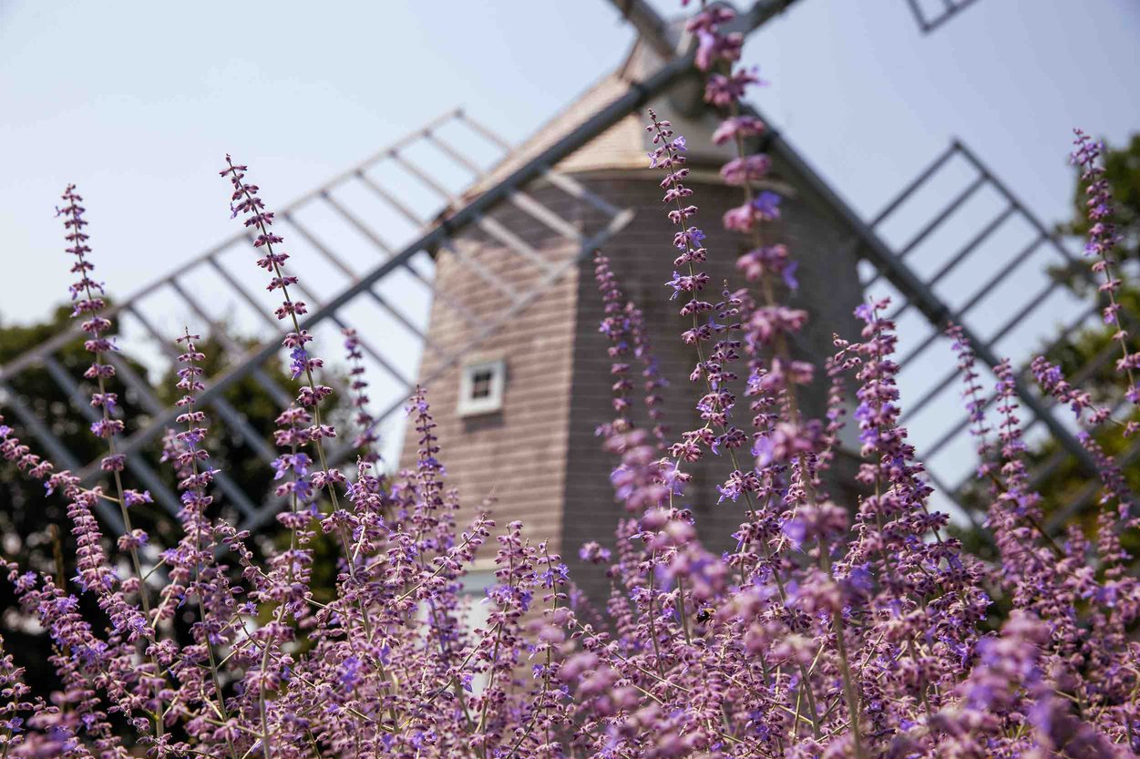 Best Things to Do on Cape Cod in the Spring