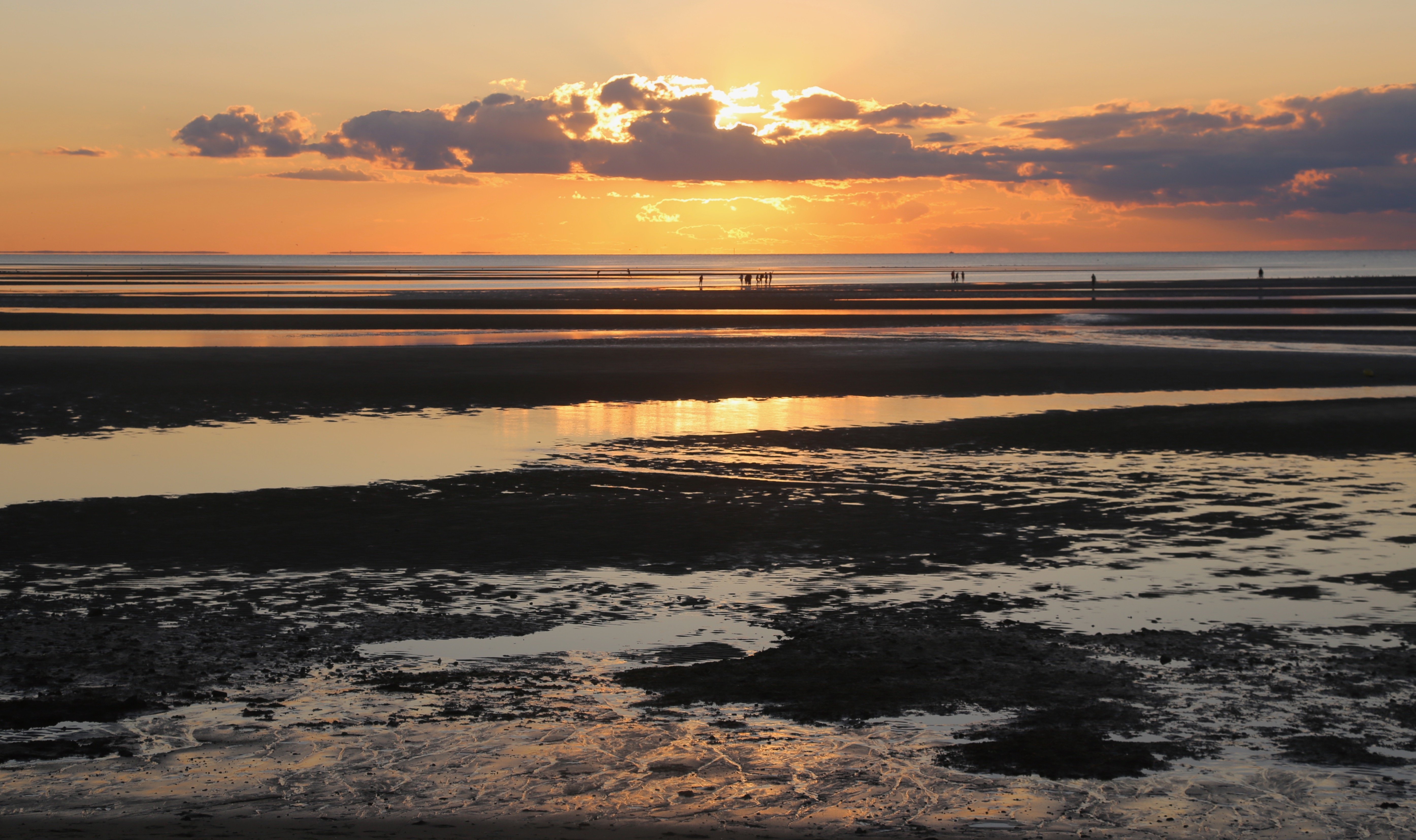 AdobeStock_491349584