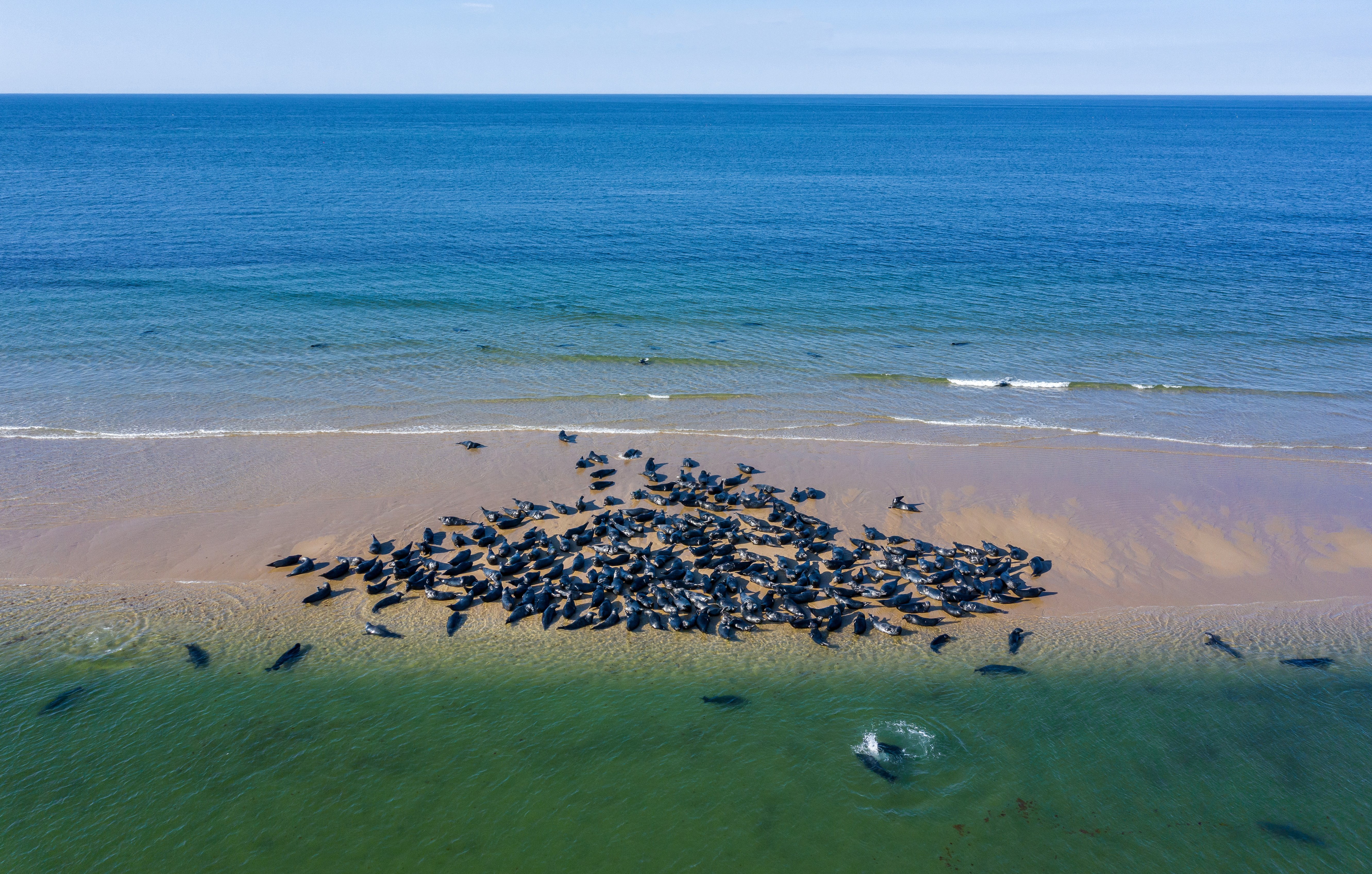 AdobeStock_496149534