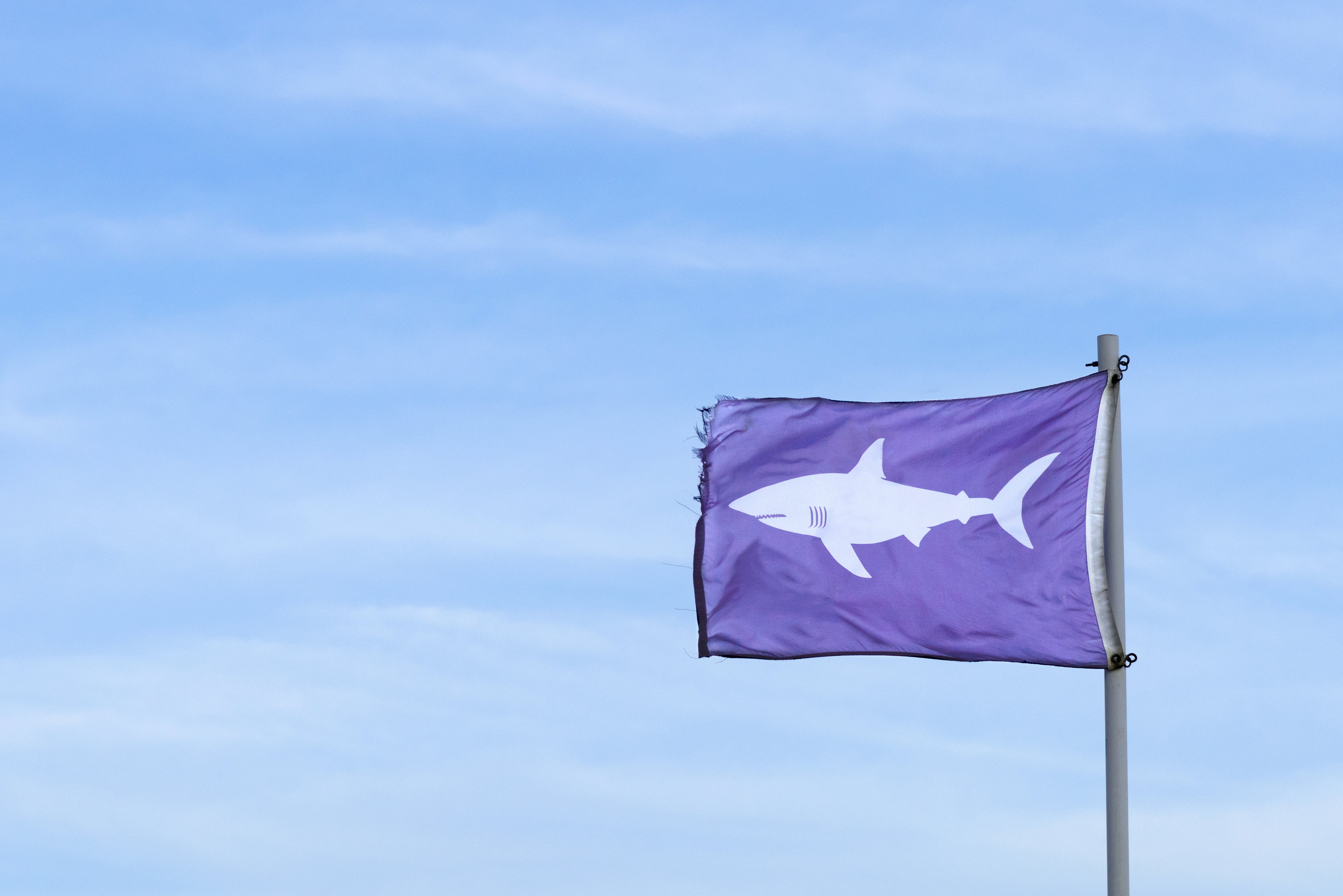 AdobeStock_532850091