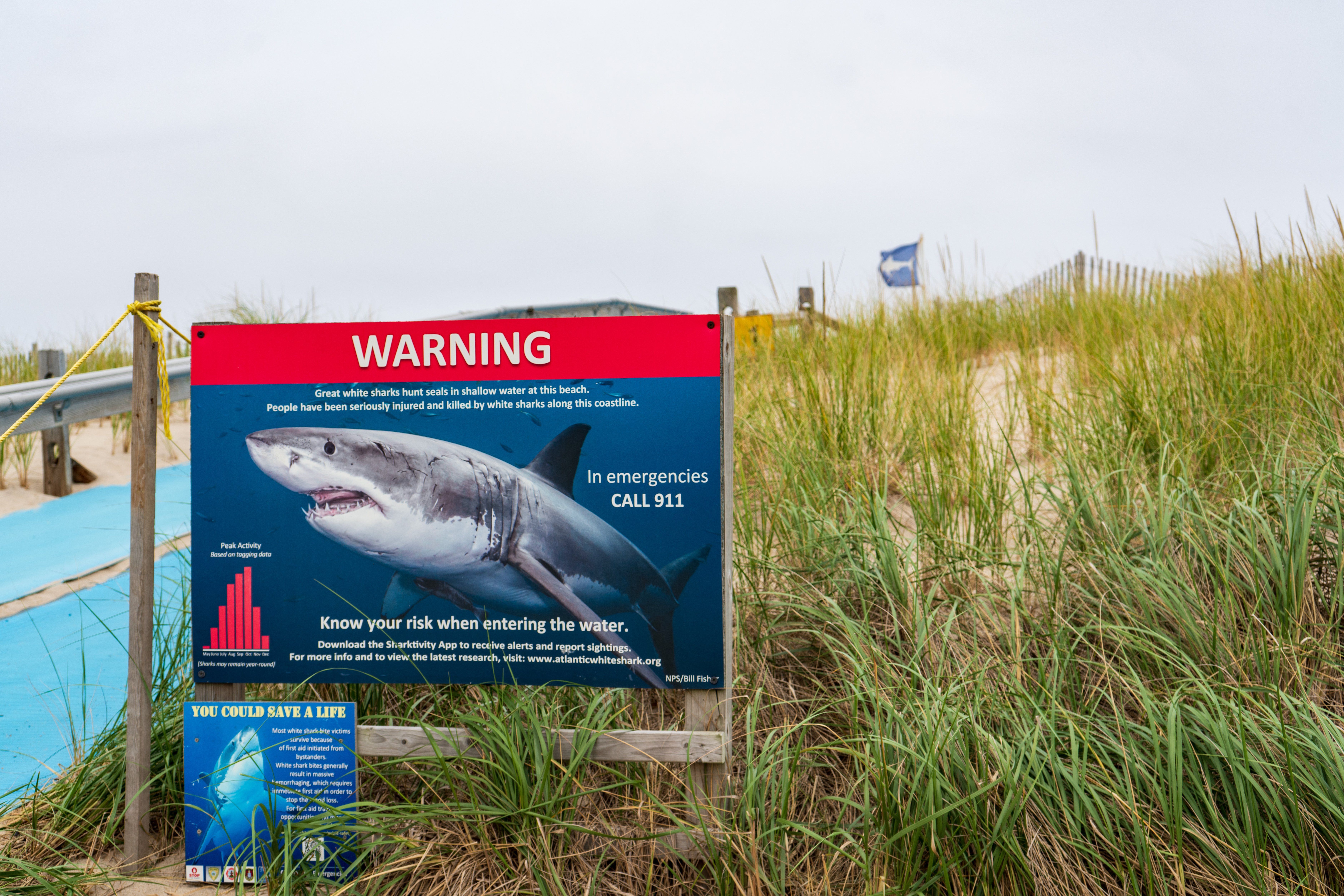 AdobeStock_584687044