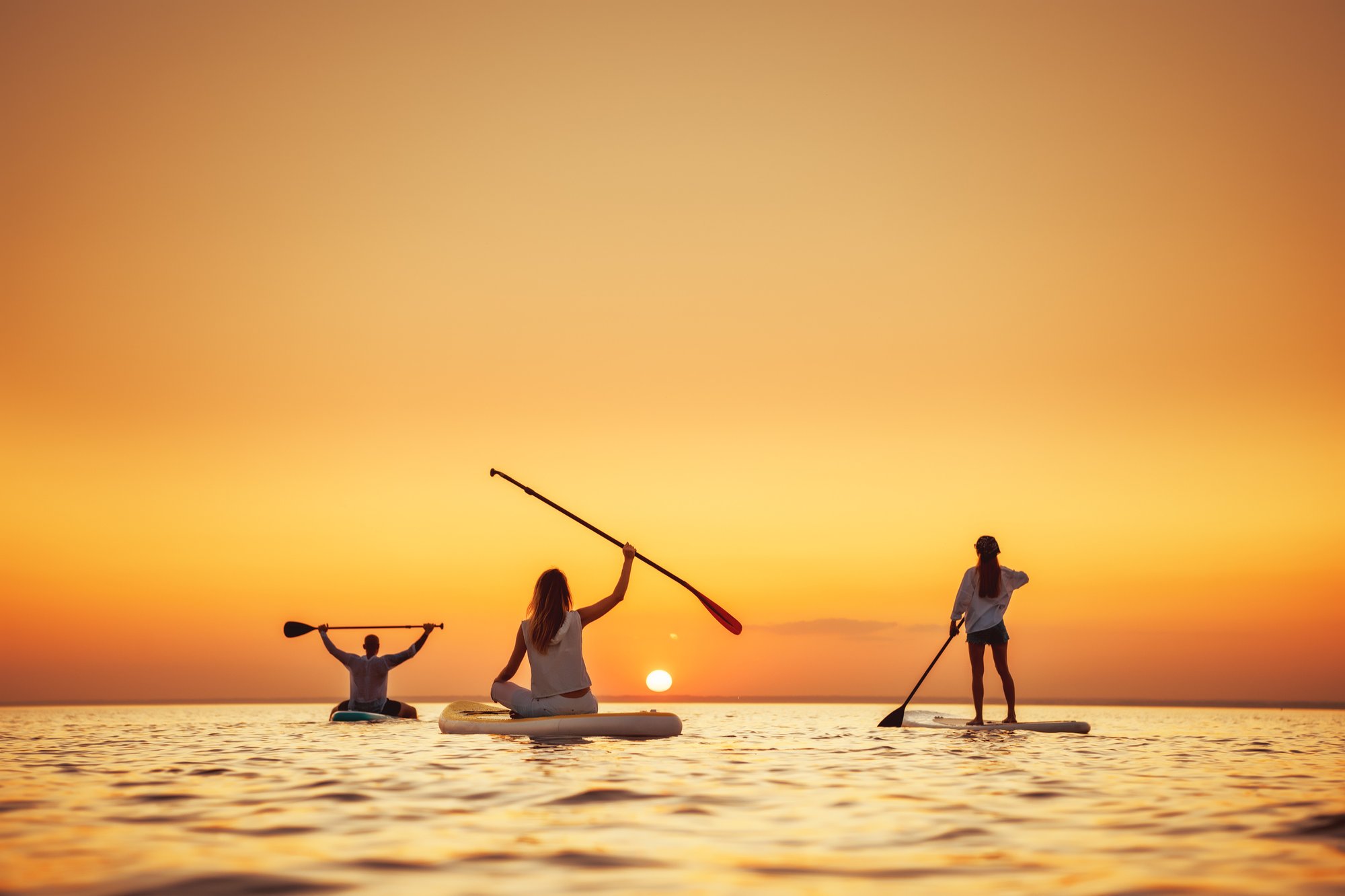 AdobeStock_726928487
