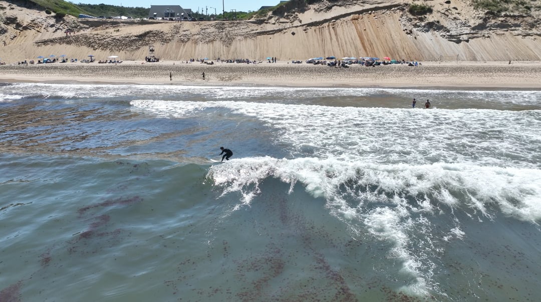 Beachcomber Surfer