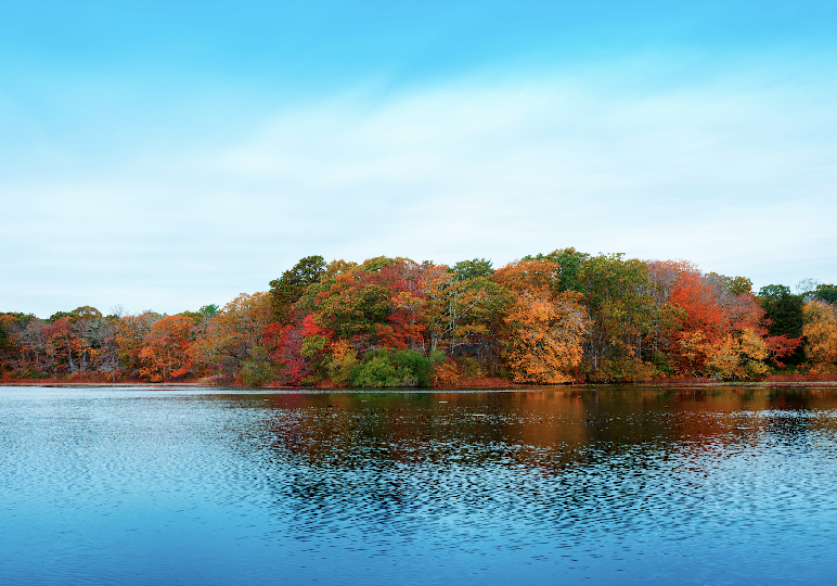 Best Things to Do on Cape Cod in the Fall