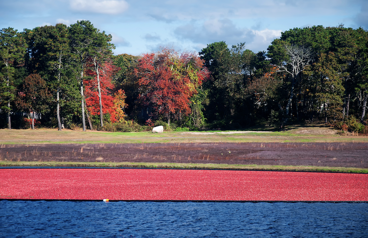Best Things to Do on Cape Cod in the Fall