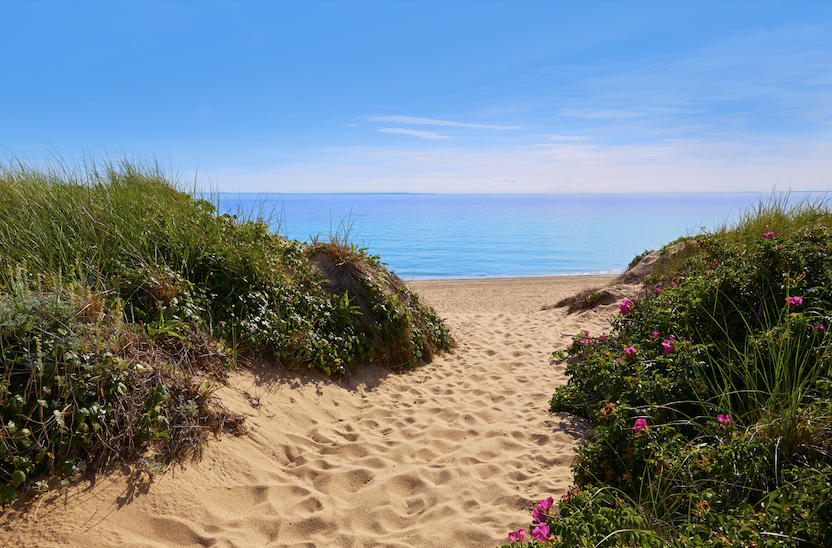 Cape Cod Beaches Guide Top Cape Cod Beaches: 16 Flavors of Fun