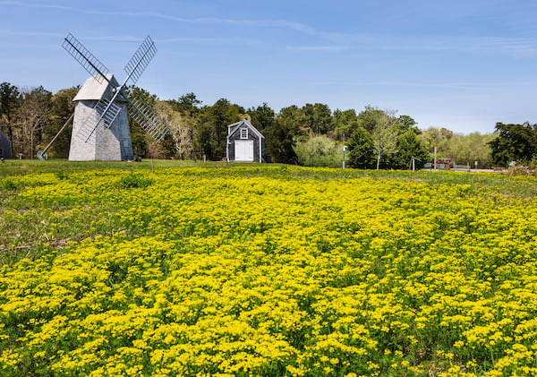 Best Things to Do on Cape Cod in the Spring