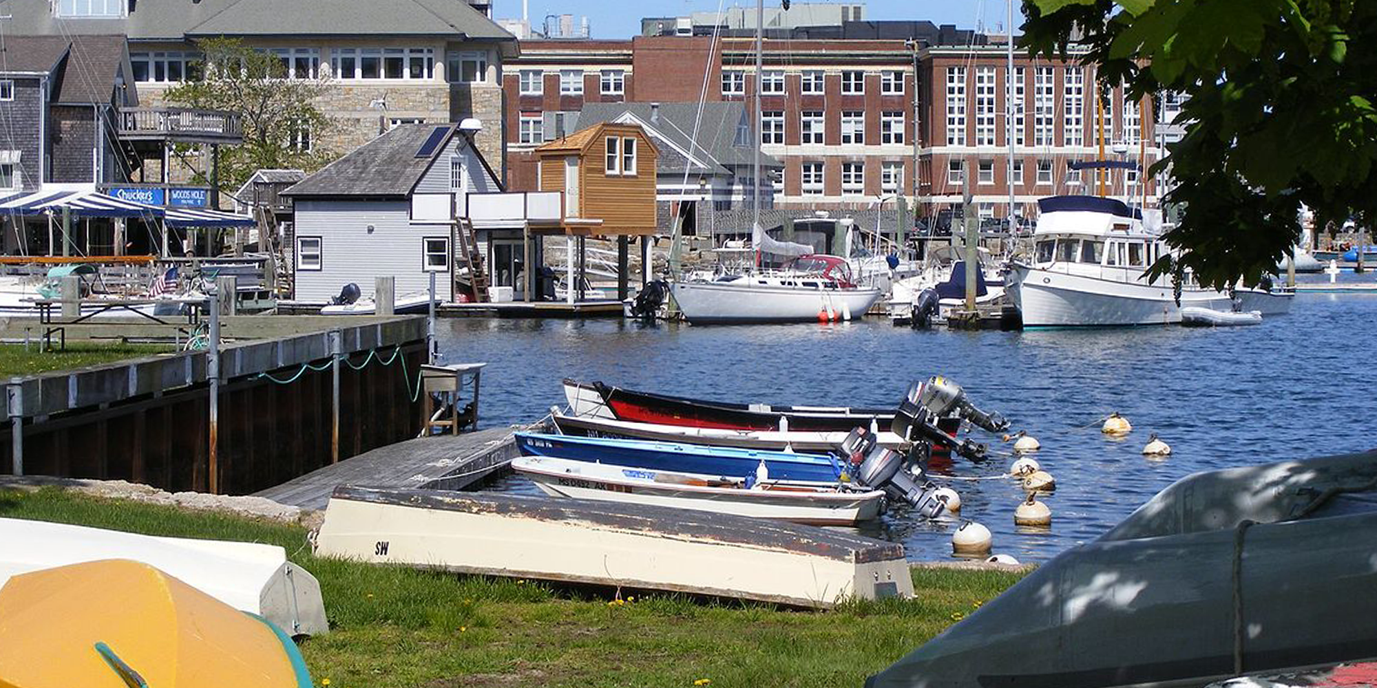 woodshole